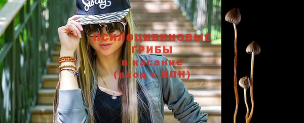 ешки Арсеньев