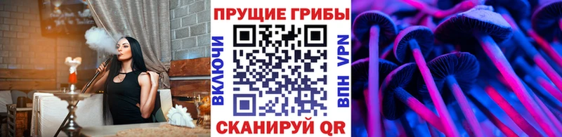 Псилоцибиновые грибы MAGIC MUSHROOMS  Солигалич 